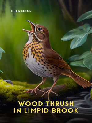 cover image of Wood Thrush in Limpid Brook